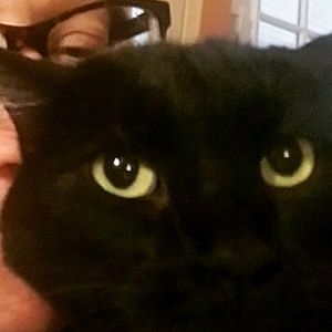 Meet your Posher, Mettisa